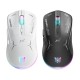 ONIKUMA CW917 RGB Dual Mode Wired + 2.4GHz Wireless Mouse ONIKUMA CW917 RGB Dual Mode Wired + 2.4GHz Wireless Mouse
