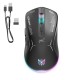 ONIKUMA CW917 RGB Dual Mode Wired + 2.4GHz Wireless Mouse ONIKUMA CW917 RGB Dual Mode Wired + 2.4GHz Wireless Mouse