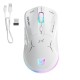 ONIKUMA CW917 RGB Dual Mode Wired + 2.4GHz Wireless Mouse ONIKUMA CW917 RGB Dual Mode Wired + 2.4GHz Wireless Mouse