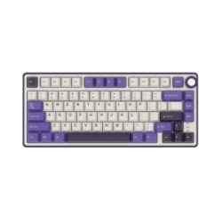 Royal Kludge RK R75 RGB Hot-Swappable Blackberry Switch Mechanical Keyboard