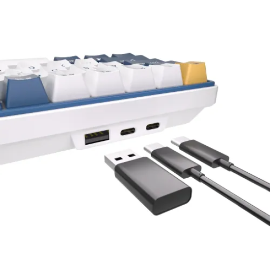 Royal Kludge RK61 Plus Tri Mode RGB 61 Keys Hotswappable Mechanical Blue Switch Gaming Keyboard Royal Kludge RK61 Plus Tri Mode RGB 61 Keys Hotswappable Mechanical Blue Switch Gaming Keyboard